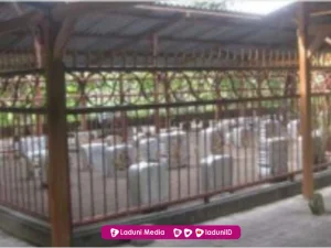 Biografi KH. Muhammad Khozin (Pengasuh Pondok Pesantren Langitan Tuban Ke-3)
