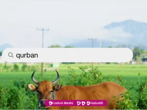 Hukum Qurban Sunnah atau wajib?