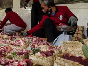Tata Cara Pembagian Qurban