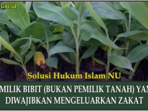 Pemilik Bibit yang Diwajibkan Mengeluarkan Zakat