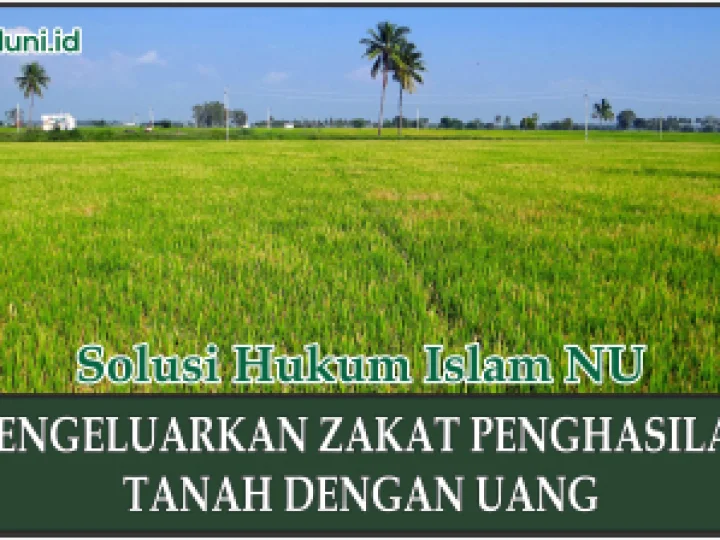 Hukum Mengeluarkan Zakat Penghasilan Tanah dengan Uang