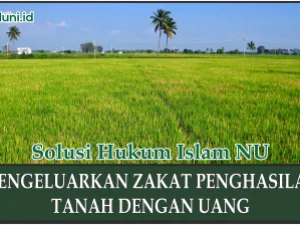 Hukum Mengeluarkan Zakat Penghasilan Tanah dengan Uang