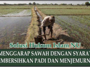 Penjelasan tentang Hak dan Kewajiban pada suatu Lingkup Pekerjaan dengan Contoh Penggarap Sawah