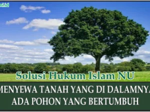 Hukum Menyewa Tanah yang di dalamnya Ada Pohon yang Bertumbuh