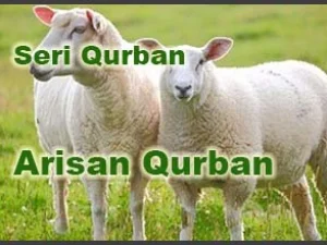Penjelasan dari Hukum Arisan Qurban