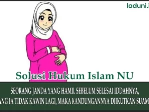 Hukum Kandungan seorang Janda yang Hamil sebelum Selesai Iddahnya