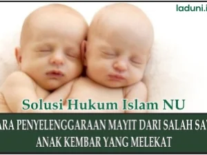Cara Penyelenggaraan Mayit dari Salah Satu Anak Kembar Dampit