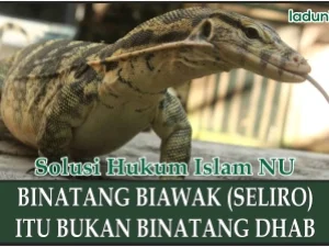 Apakah Binatang Biawak itu Binatang Dhab?