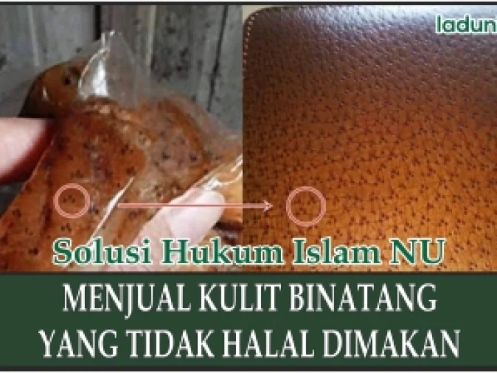 Hukum Jual Beli Kulit yang Tidak Halal Dimakan seperti Ular dan Macan