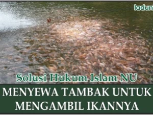 Hukum Menyewa Kolam Ikan untuk Memancing Ikannya