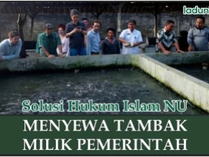 Hukum Menyewa Tambak Milik Pemerintah untuk Diambil Ikannya