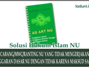 Struktur Nahdlatul Ulama yang Tidak Mengerjakan Anggaran Dasar