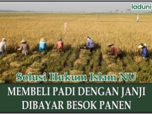 Membeli Padi dengan Dibayar dalam Waktu Tertentu