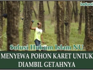 Menyewa Pohon Karet dengan Waktu Terbatas