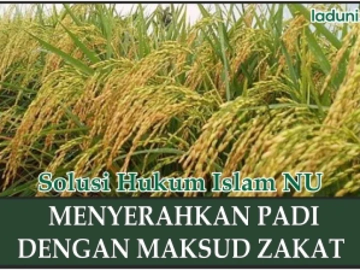 Memberi Upah Petugas Irigasi dengan Maksud Zakat