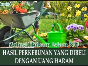 Uang Haram yang Digunakan untuk Membeli Kebun
