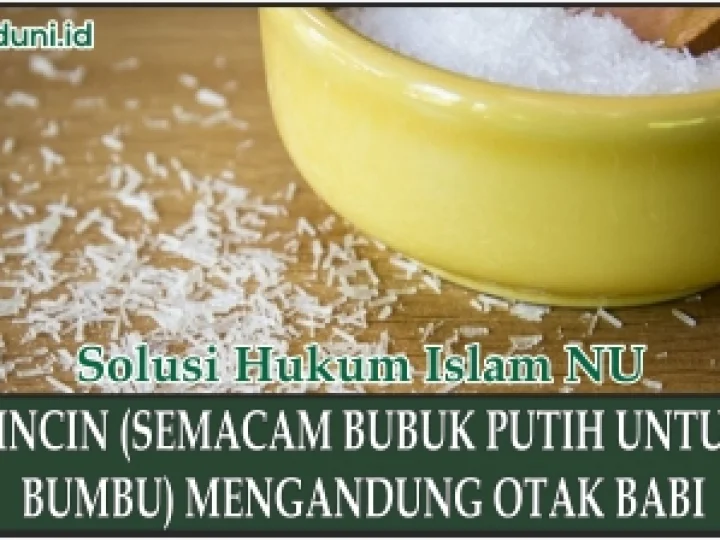 Penyedap Rasa yang Mengandung Otak Babi