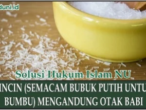 Penyedap Rasa yang Mengandung Otak Babi