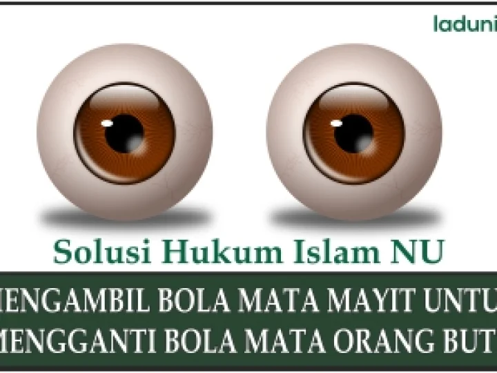 Pendapat Mengenai Fatwa Ulama Mesir yang Memperbolehkan Mengambil Bola Mata Orang Meninggal