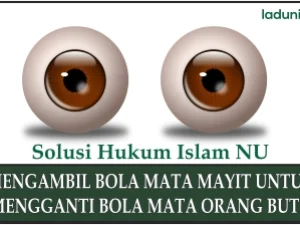 Pendapat Mengenai Fatwa Ulama Mesir yang Memperbolehkan Mengambil Bola Mata Orang Meninggal