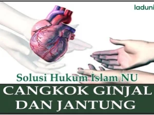 Hukum Mencangkok Ginjal dan Jantung