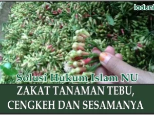 Zakat Tanaman Tebu, Cengkeh dan Sesamanya