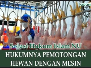 Hukum Pemotongan Hewan dengan Mesin