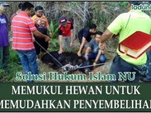 Memukul Hewan untuk Memudahkan Penyembelihan