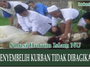 Hukum Membagikan Hewan Kurban yang Sudah Disembelih