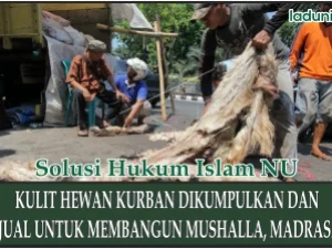 Kulit Hewan Kurban Dikumpulkan dan Dijual untuk Membangun Mushalla atau Madrasah