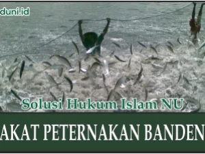 Zakat Peternakan Bandeng