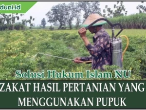 Zakat Hasil Pertanian yang Menggunakan Pupuk
