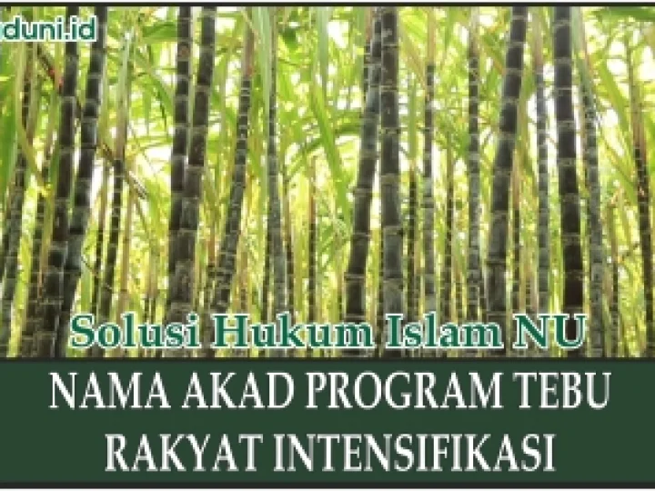Nama Akad Program Tebu Rakyat Intensifikasi