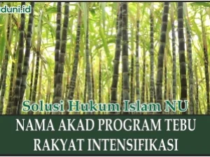 Nama Akad Program Tebu Rakyat Intensifikasi