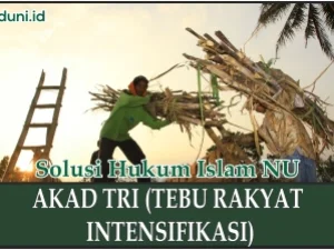 Hukum Akad TRI (Tebu Rakyat Intensifikasi)