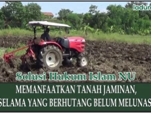 Hukum Memanfaatkan Tanah Jaminan, Selama Hutang Belum Lunas