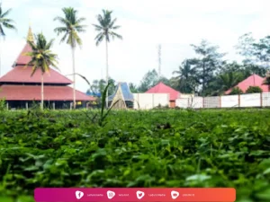 Pesantren An-Nur 3 Malang