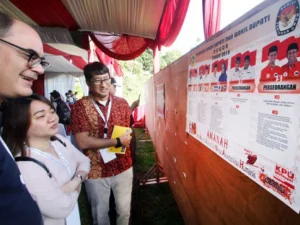 Pengawas Internasional dalam PILKADA Serentak 2018