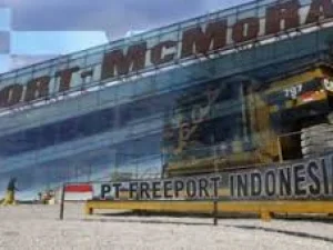 Proses Akuisisi 51% Saham Freeport Dimulai