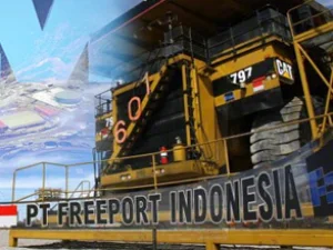 Indonesia Ambil Alih 51% Saham Freeport apa Untungnya?