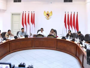 Presiden Dorong Penggunaan Energi Baru Terbarukan