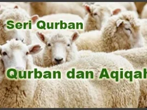 Niat Qurban dan Aqiqah