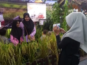 Yuk, Berkunjung ke Aceh Expo di Blang Padang
