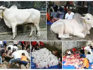 Fiqh Qurban #1: Apa Itu Berqurban?