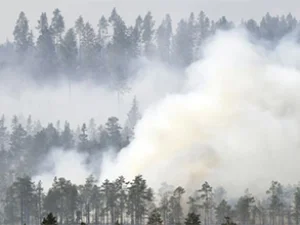 Gelombang Panas Eropa: Kebakaran Hutan, Aspal Meleleh sampai Reaktor Nuklir Ditutup