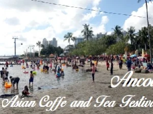 Asian Coffee and Tea Festival Acara untuk Penikmat Kopi