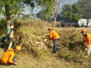 Positif, LPBINU Nganjuk Sambut HUT RI Dengan Aksi Bersih Desa