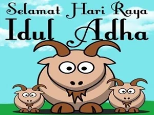 Ini Syarat-Syarat Lengkap Melaksanakan Ibadah Kurban
