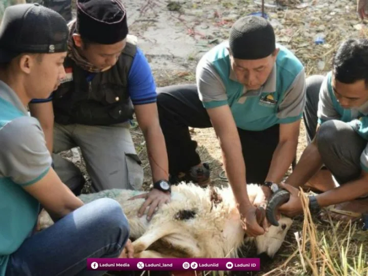 Prinsip Berbuat Baik dalam Menyembelih Hewan