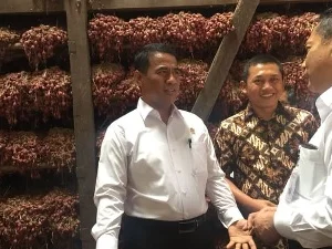 2014 Indonesia sebagi Pengimport, 2018 Indonesia Targetkan Eksport 15 Ribu Ton Bawang Merah